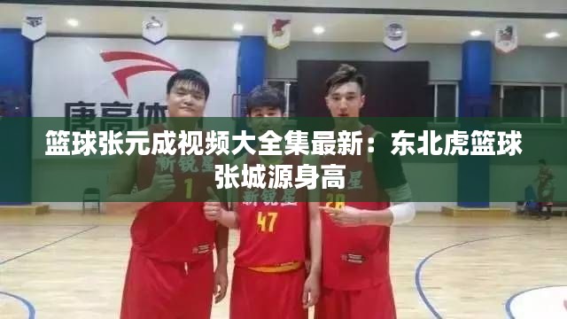 籃球張元成視頻大全集最新：東北虎籃球張城源身高 
