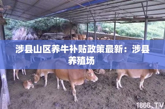 涉縣山區(qū)養(yǎng)牛補(bǔ)貼政策最新：涉縣養(yǎng)殖場(chǎng) 