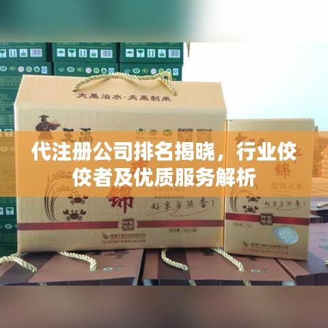 代注冊公司排名揭曉，行業佼佼者及優質服務解析