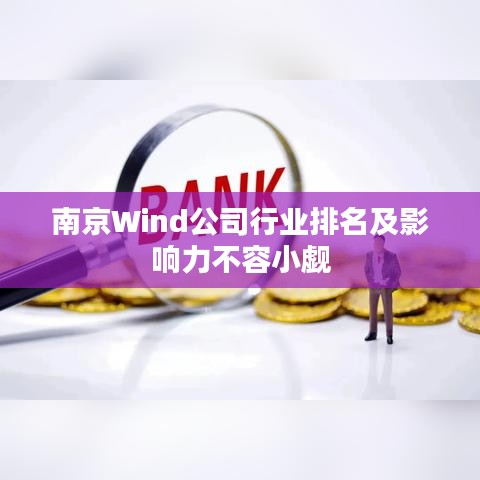 南京Wind公司行業排名及影響力不容小覷