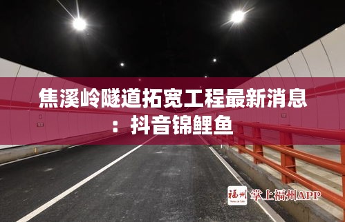 焦溪嶺隧道拓寬工程最新消息：抖音錦鯉魚 