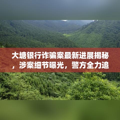 大塘銀行詐騙案最新進展揭秘，涉案細節曝光，警方全力追查資金流向