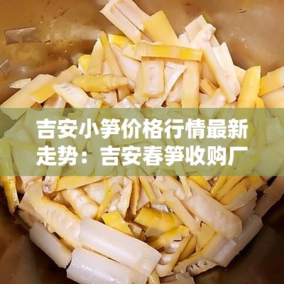 吉安小筍價(jià)格行情最新走勢(shì)：吉安春筍收購(gòu)廠家聯(lián)系電話 