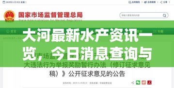 大河最新水產資訊一覽，今日消息查詢與違法犯罪問題探討