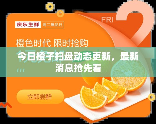 今日橙子掃盤動態更新，最新消息搶先看