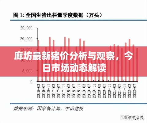 廊坊最新豬價分析與觀察，今日市場動態解讀