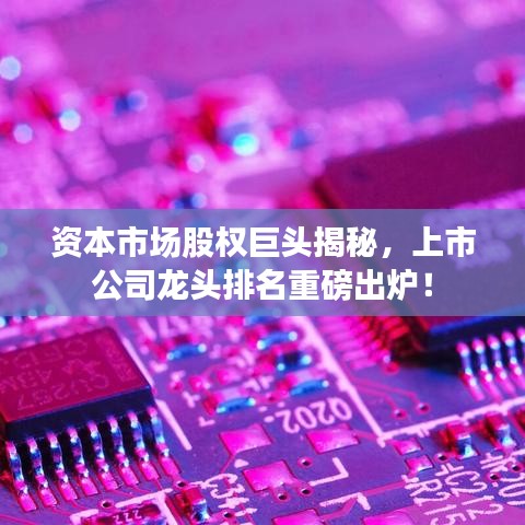 資本市場股權(quán)巨頭揭秘，上市公司龍頭排名重磅出爐！
