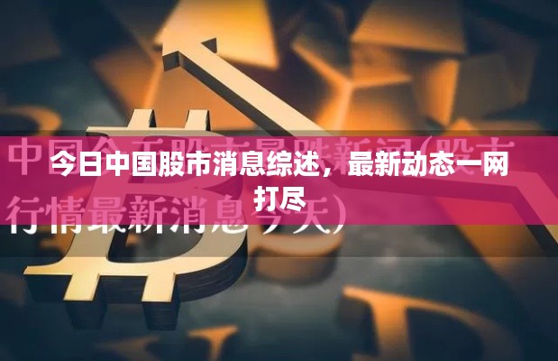 今日中國股市消息綜述，最新動態(tài)一網(wǎng)打盡