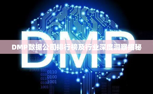 DMP數據公司排行榜及行業深度洞察揭秘