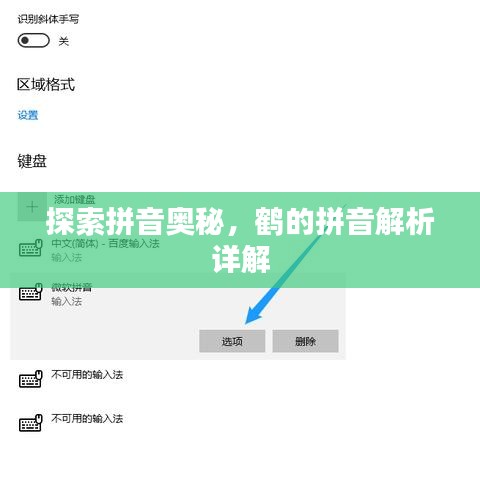 探索拼音奧秘，鶴的拼音解析詳解
