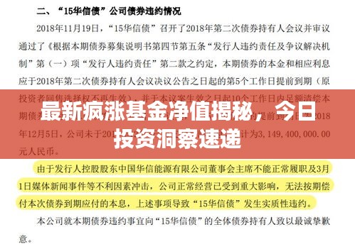 最新瘋漲基金凈值揭秘，今日投資洞察速遞