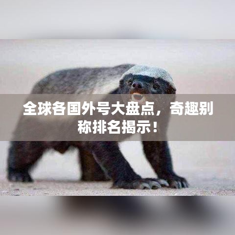 全球各國外號大盤點，奇趣別稱排名揭示！