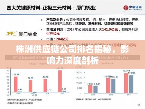 株洲供應鏈公司排名揭秘，影響力深度剖析
