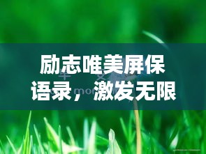勵(lì)志唯美屏保語錄，激發(fā)無限正能量！
