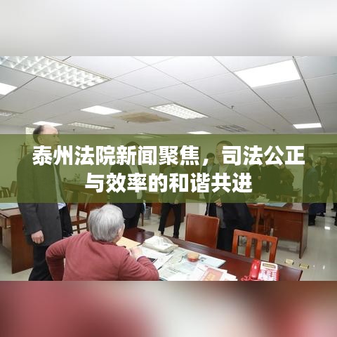 泰州法院新聞聚焦，司法公正與效率的和諧共進