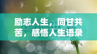 勵志人生，同甘共苦，感悟人生語錄