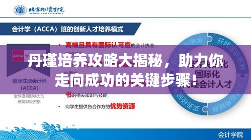 丹瑾培養攻略大揭秘，助力你走向成功的關鍵步驟！