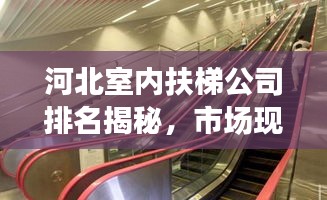 河北室內扶梯公司排名揭秘，市場現狀深度解析