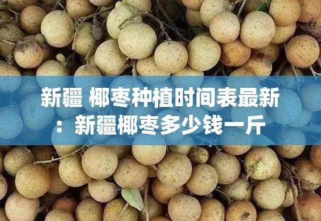 新疆 椰棗種植時間表最新：新疆椰棗多少錢一斤 