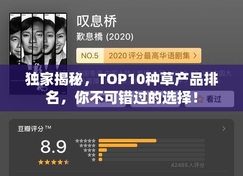 獨家揭秘，TOP10種草產品排名，你不可錯過的選擇！