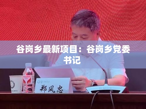 谷崗鄉最新項目：谷崗鄉黨委書記 