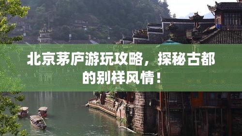 北京茅廬游玩攻略，探秘古都的別樣風情！