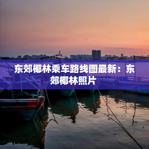 東郊椰林乘車路線圖最新：東郊椰林照片 