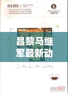 昌黎馬繼軍最新動態及成就概覽