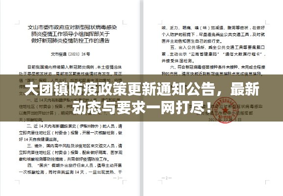 大團鎮防疫政策更新通知公告，最新動態與要求一網打盡！
