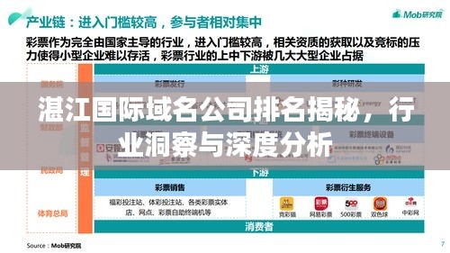 湛江國際域名公司排名揭秘，行業洞察與深度分析