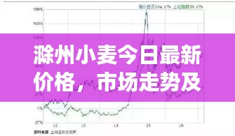 滁州小麥今日最新價(jià)格，市場走勢(shì)及影響因素深度解析