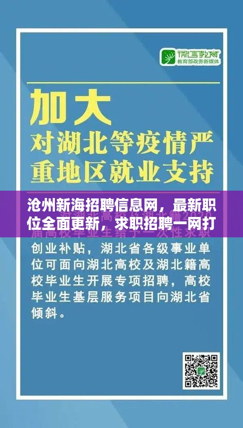 滄州新海招聘信息網，最新職位全面更新，求職招聘一網打盡