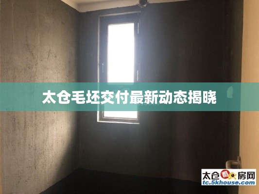 太倉毛坯交付最新動態揭曉