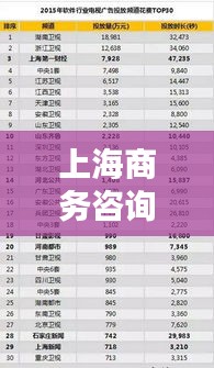 上海商務(wù)咨詢(xún)公司排行榜及影響力分析