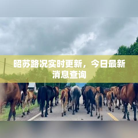 昭蘇路況實時更新，今日最新消息查詢
