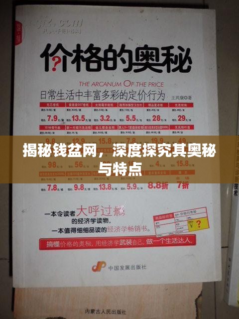 揭秘錢盆網(wǎng)，深度探究其奧秘與特點(diǎn)