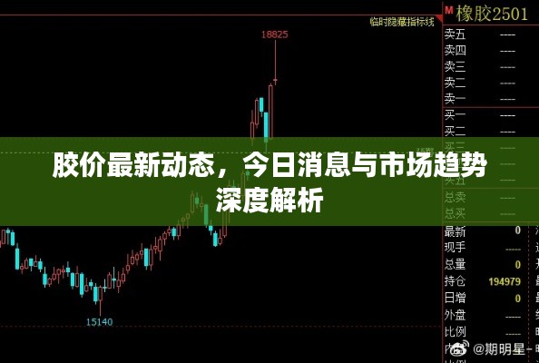 膠價(jià)最新動(dòng)態(tài)，今日消息與市場(chǎng)趨勢(shì)深度解析