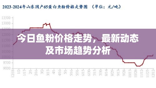 今日魚粉價格走勢，最新動態及市場趨勢分析