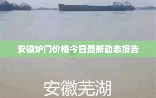安徽爐門價格今日最新動態報告