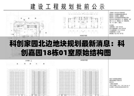 科創家園北邊地塊規劃最新消息：科創嘉園18棟01室原始結構圖 