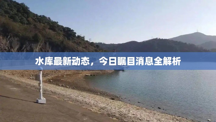 水庫最新動態，今日矚目消息全解析