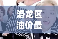 洛龍區(qū)油價最新動態(tài)，今日油價表更新通知！