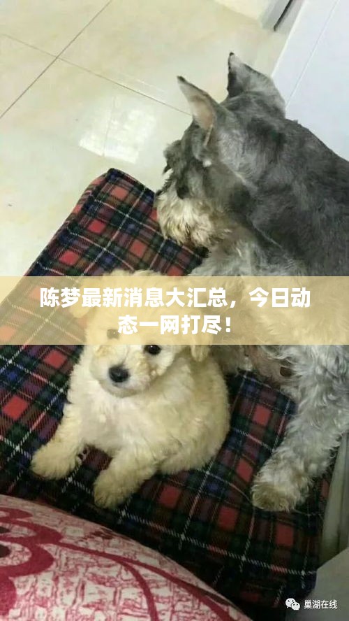 炙手可熱 第2頁
