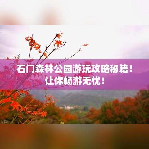 石門森林公園游玩攻略秘籍！讓你暢游無憂！