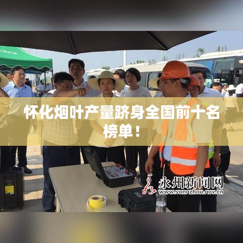 懷化煙葉產量躋身全國前十名榜單！