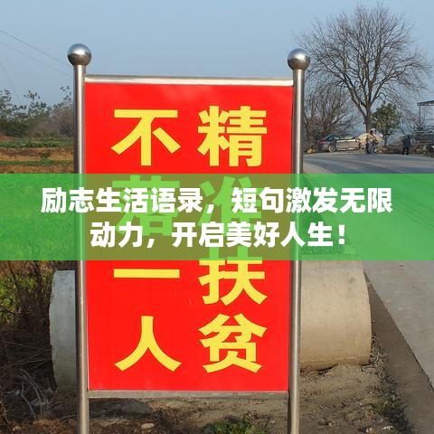 炊粱跨衛(wèi) 第2頁