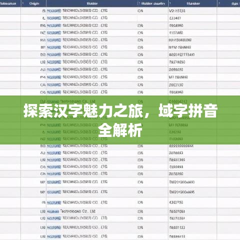 探索漢字魅力之旅，域字拼音全解析