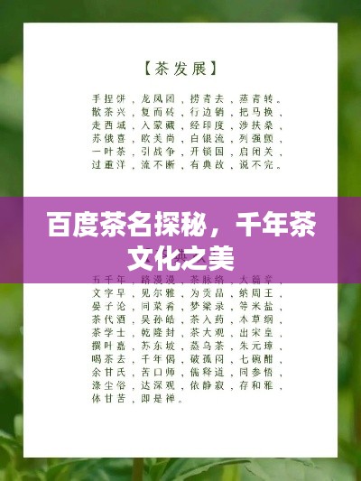 聚精會神 第3頁