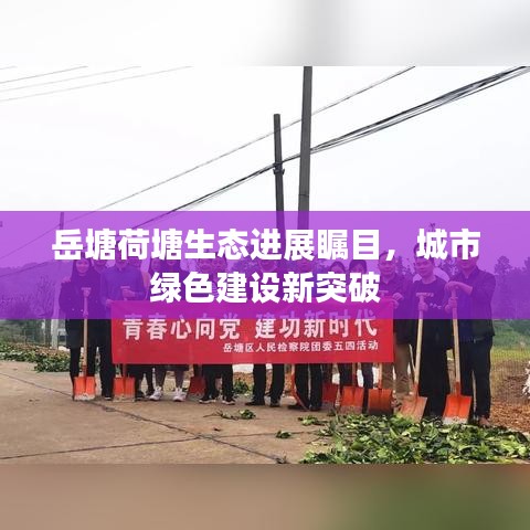 岳塘荷塘生態進展矚目，城市綠色建設新突破