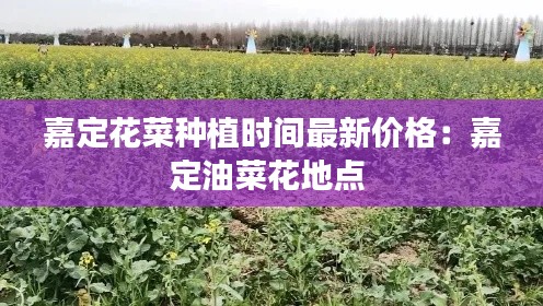 金石為開 第2頁